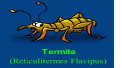 termite-image