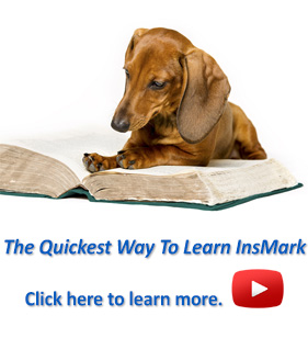 The Quickest Way To Learn InsMark image