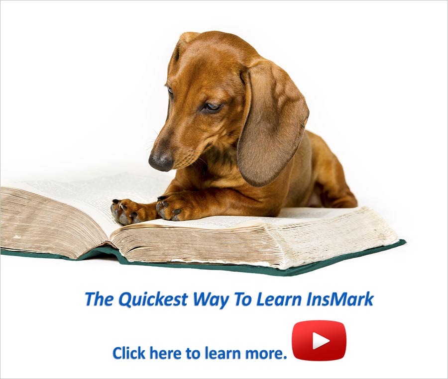 Bob Ritter's Blog #138: The Quickest Way To Learn InsMark