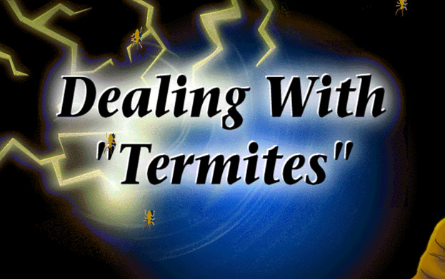 Bob Ritter's blog #146 image-1 new logic for permanent vs term part 1 of 3