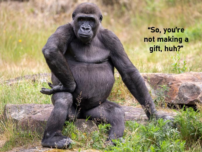 Bob Ritter's Blog #208 dollars to charity for pennies of cost Gorilla image